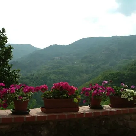 Ferchia Tatil Evi Lucca