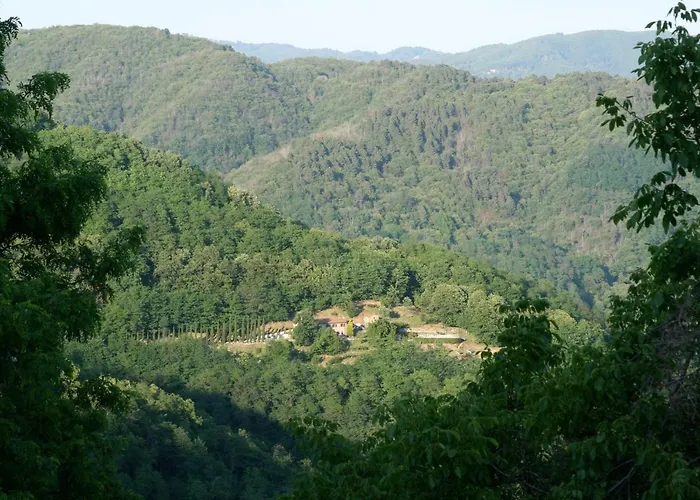 Ferchia Дом отдыха